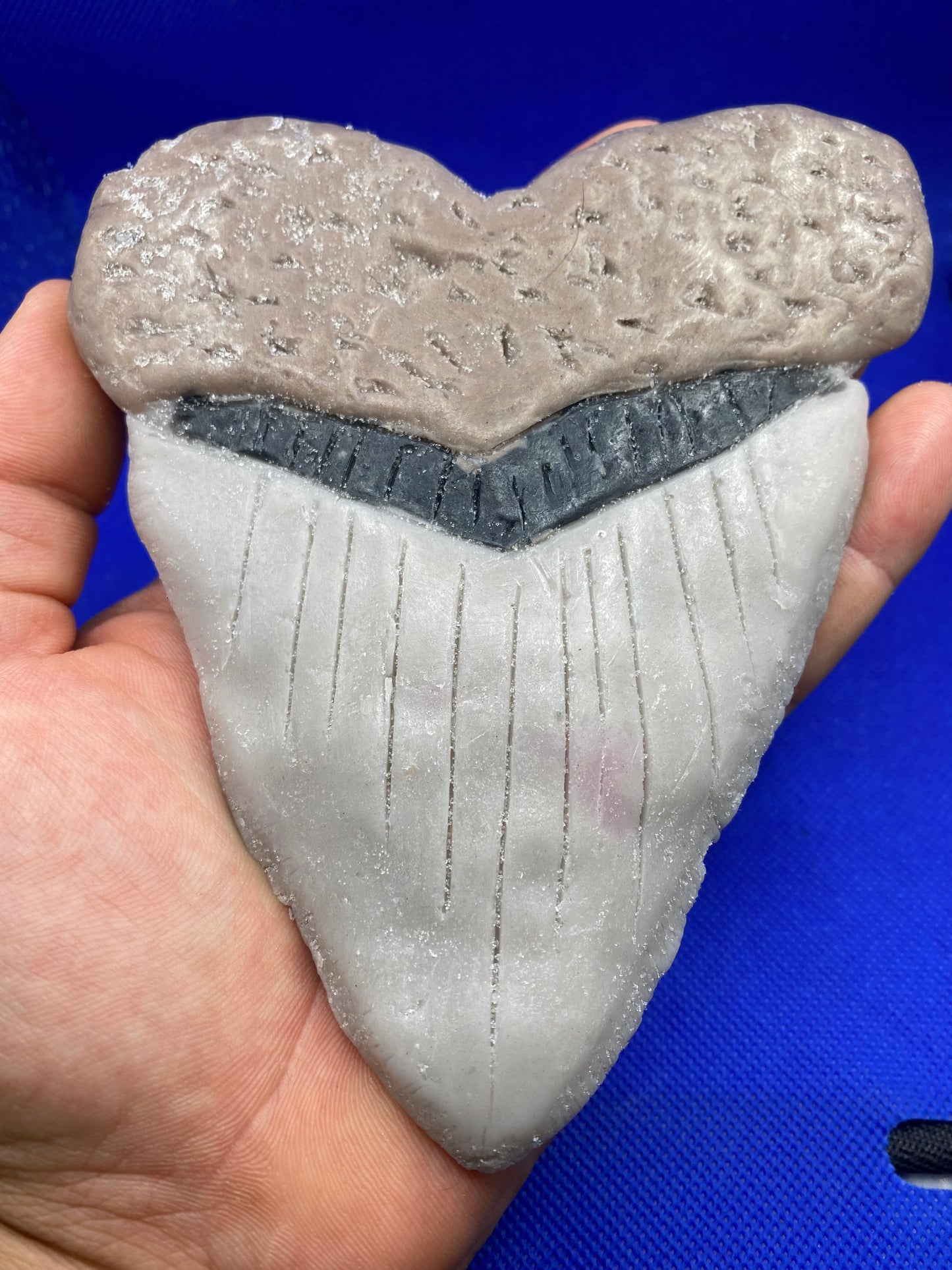 Megalodon Tooth Soap Bar